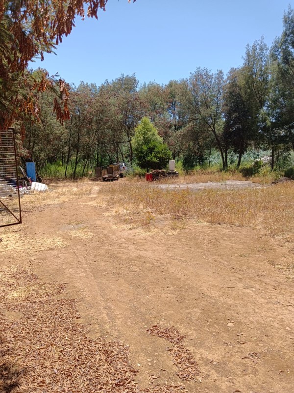 Venta Parcela Chillán - Ñuble