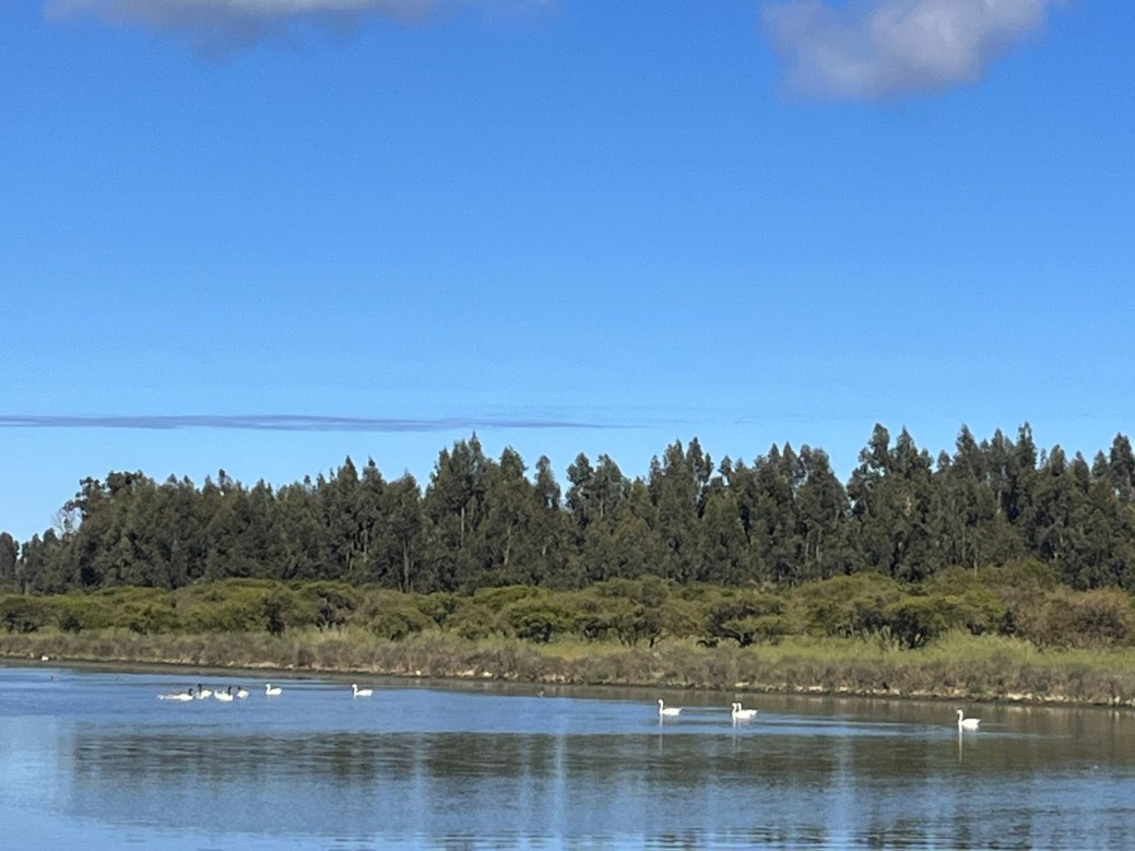 Venta Parcela San Antonio - Valparaíso