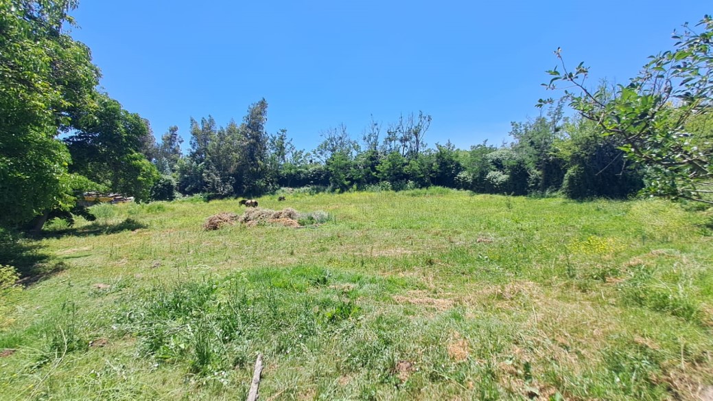 Venta Sitio Puente Alto - Región Metropolitana