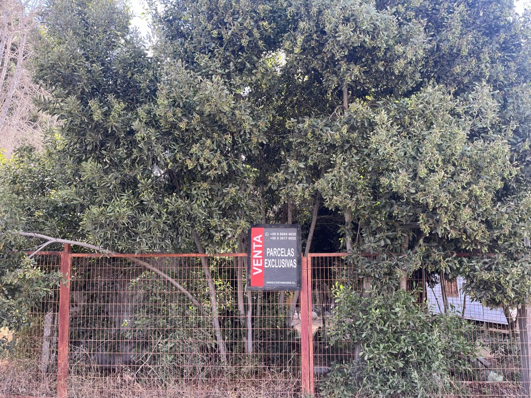 Venta Sitio La Ligua - Valparaíso