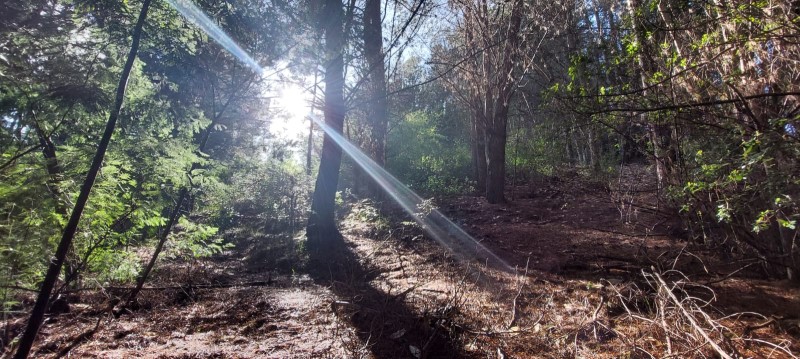 Venta Parcela Concepción - Biobío