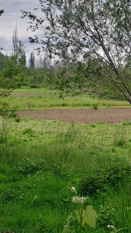 Venta Agrícola Los Angeles - Biobío