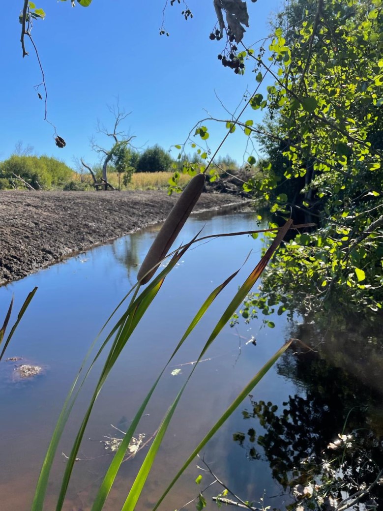 Venta Agrícola Los Angeles - Biobío