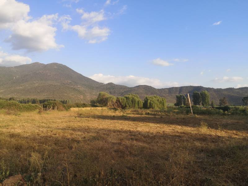 Venta Parcela San Fernando - O'Higgins