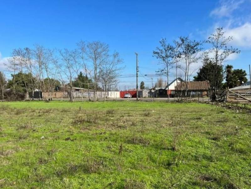 Venta Sitio Molina - Maule