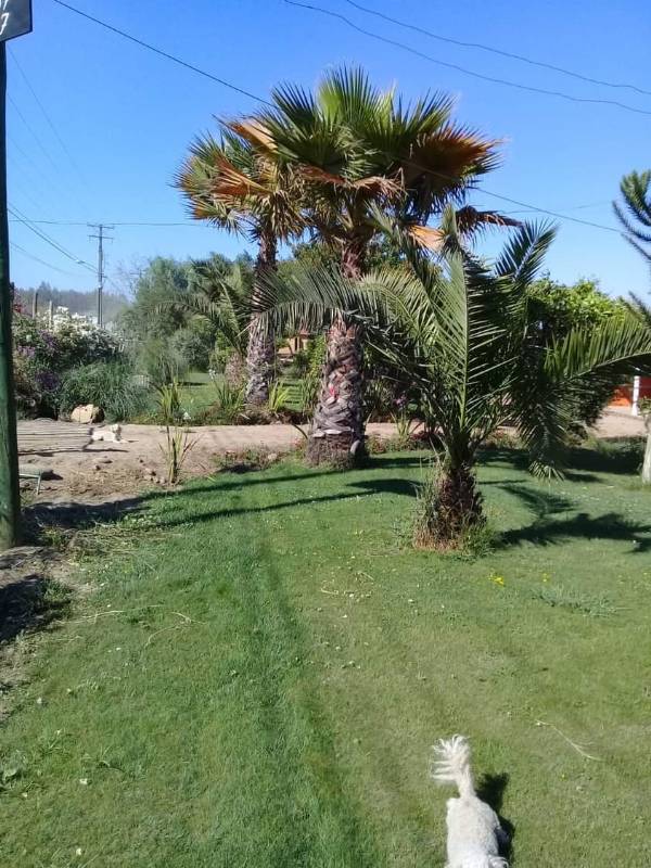 Venta Parcela Molina - Maule