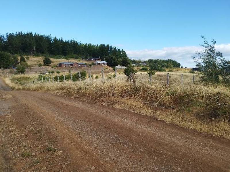 Venta Parcela Lautaro - La Araucanía