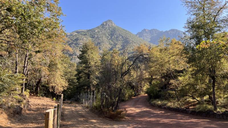Venta Parcela Pinto - Ñuble
