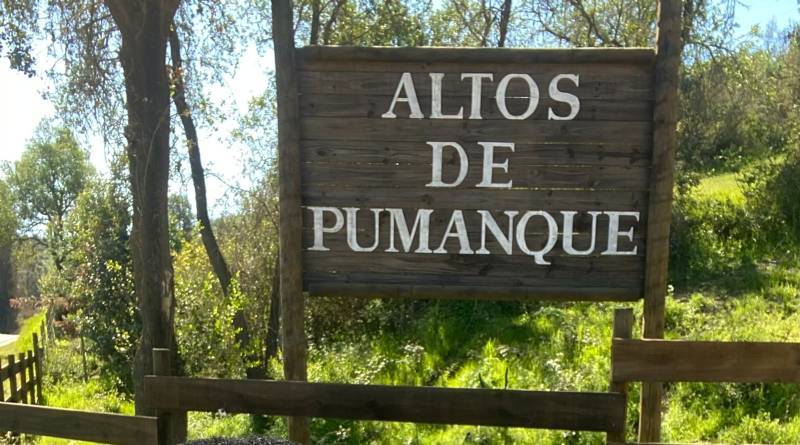 Venta Parcela Pumanque - O'Higgins