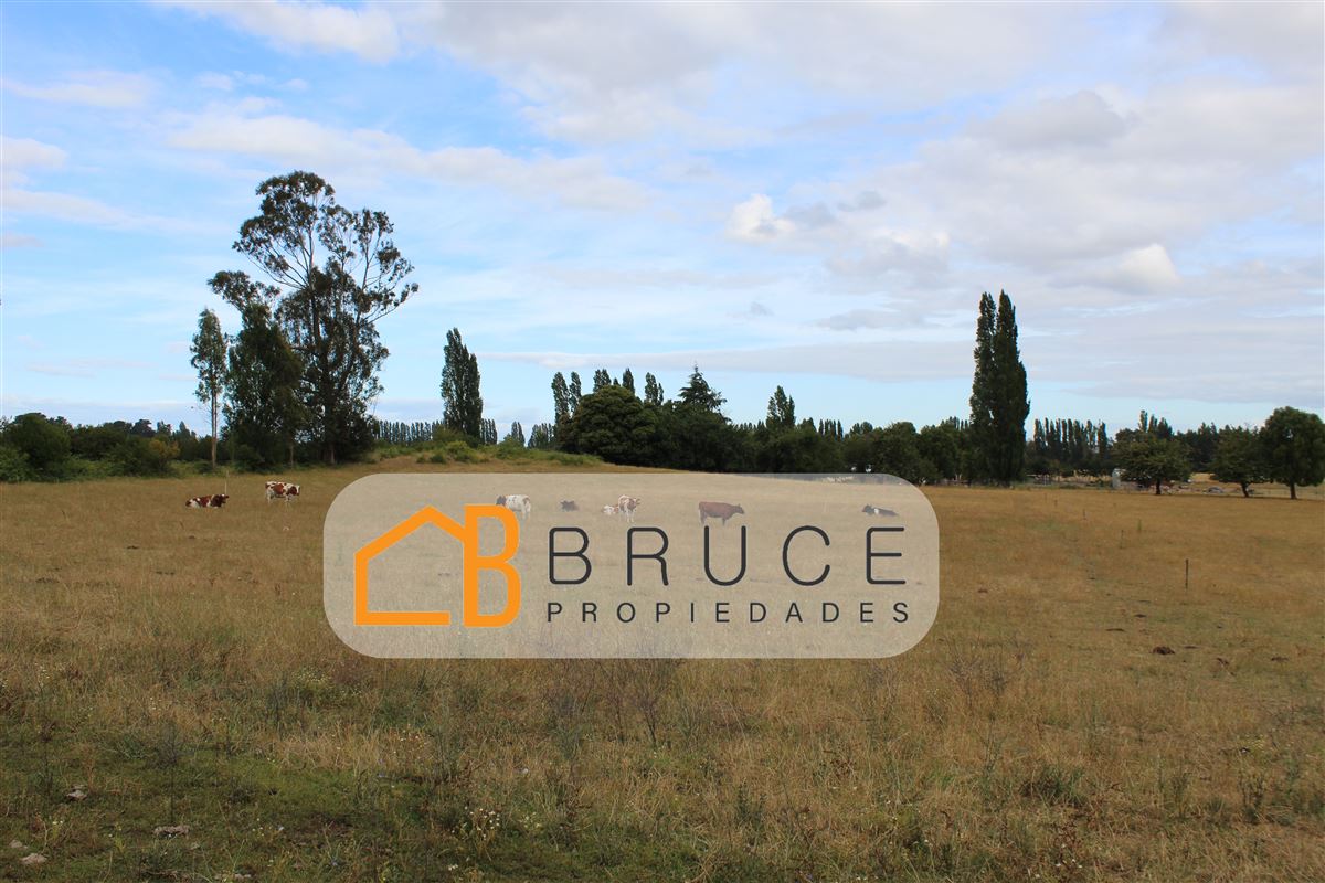 Venta Agrícola San pablo - Los Lagos