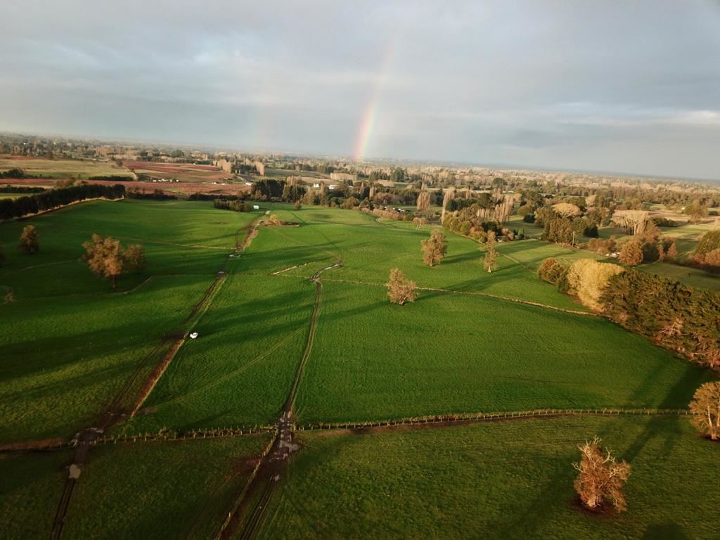 Venta Agrícola San pablo - Los Lagos