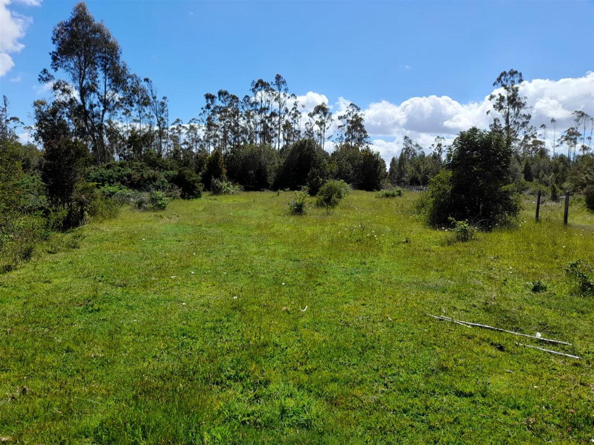 Venta Agrícola Castro - Los Lagos