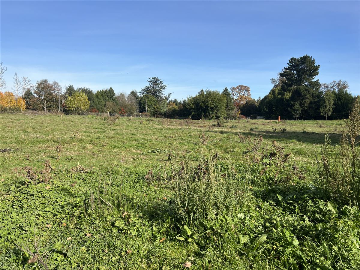 Venta Parcela Osorno - Los Lagos