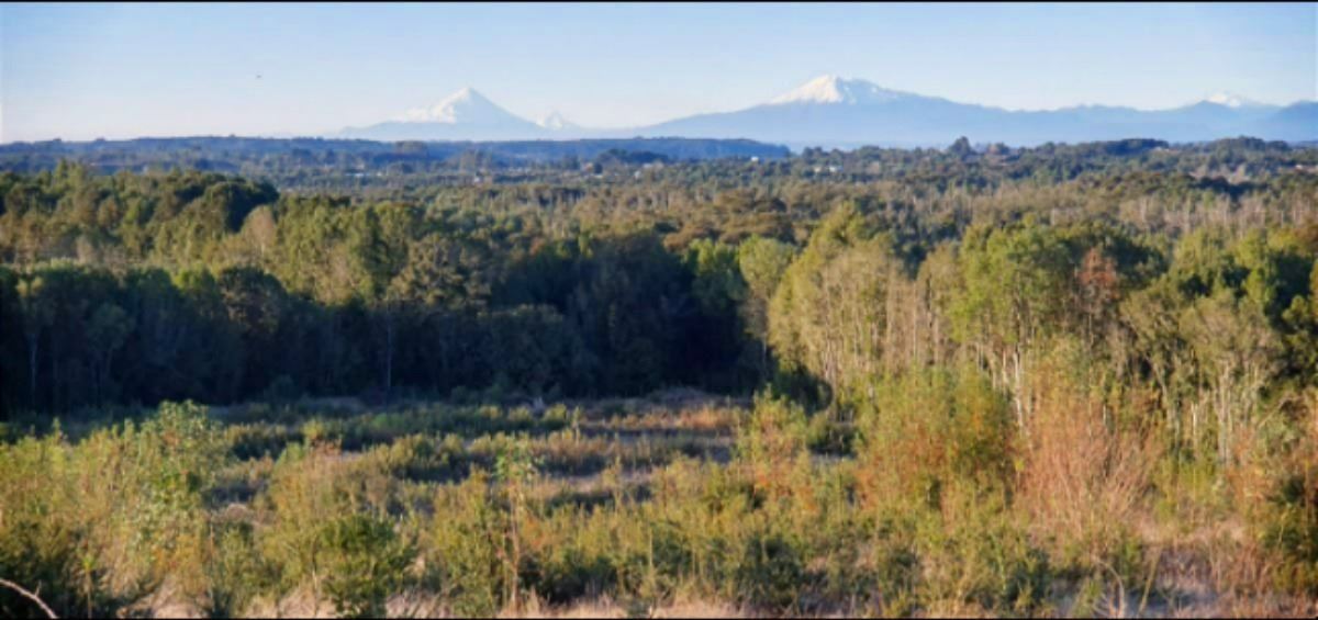 Venta Agrícola Puerto Montt - Los Lagos