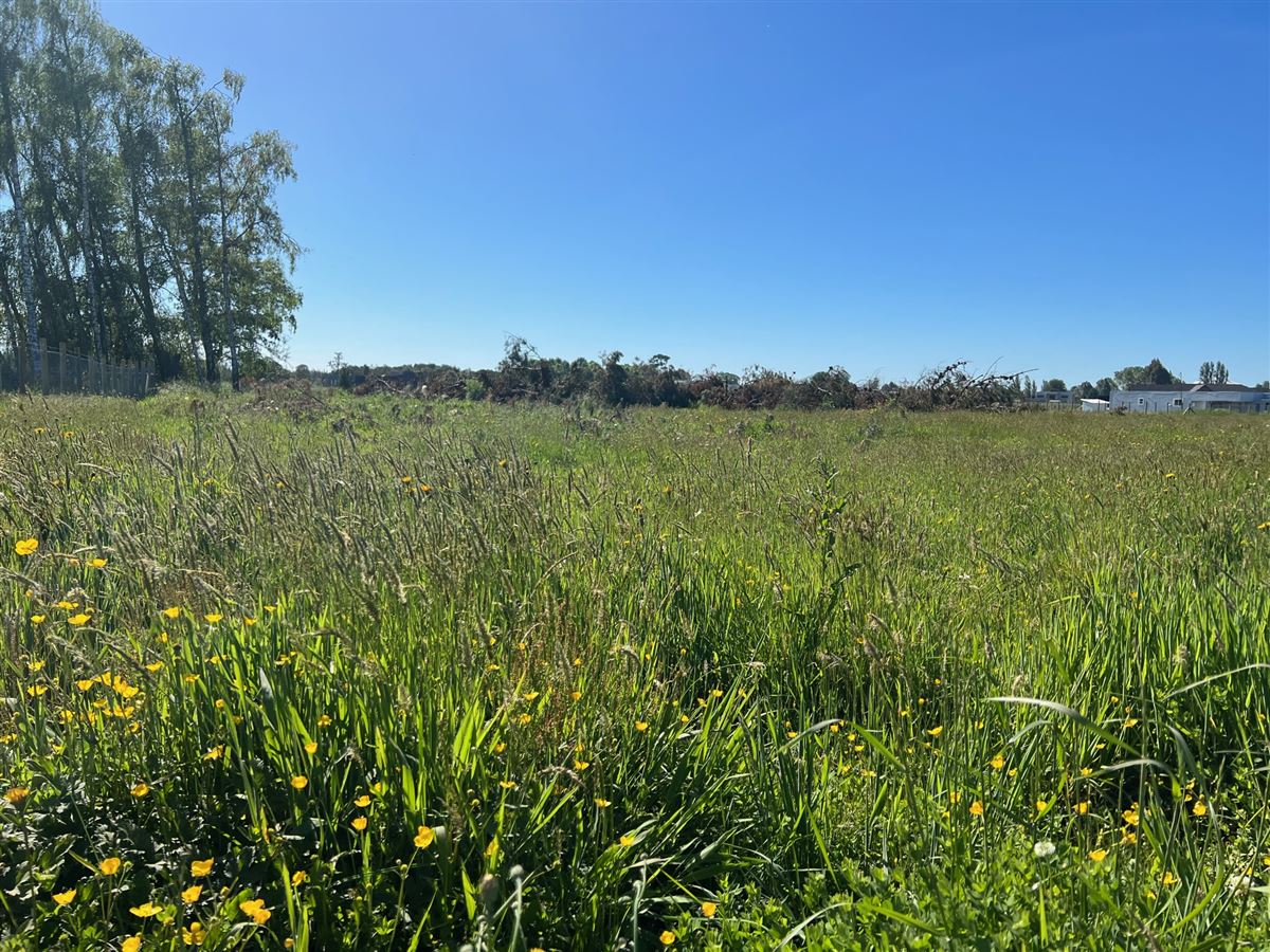 Venta Parcela Osorno - Los Lagos