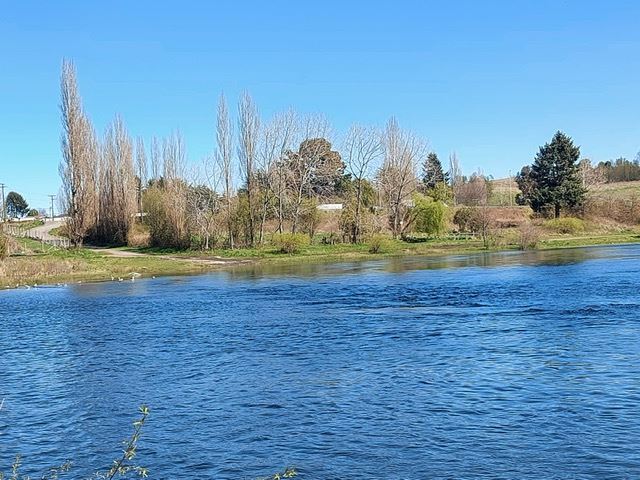 Venta Sitio Puyehue - Los Lagos