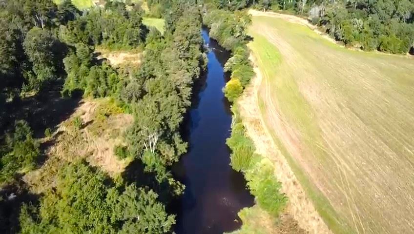 Venta Agrícola Purranque - Los Lagos