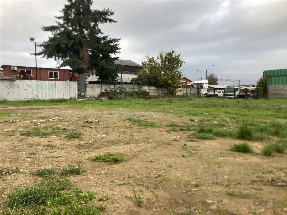 Venta Sitio Osorno - Los Lagos