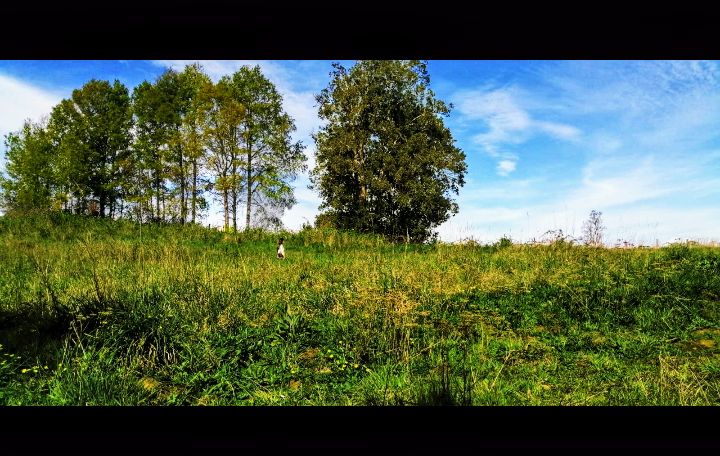 Venta Parcela Osorno - Los Lagos