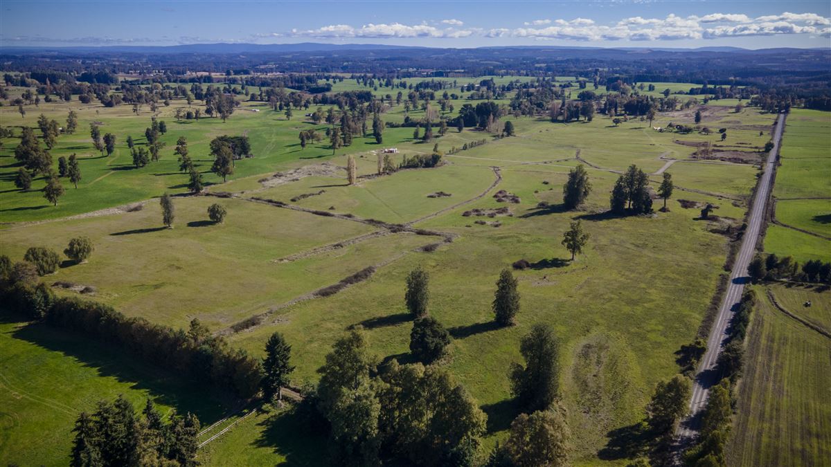 Venta Parcela Osorno - Los Lagos