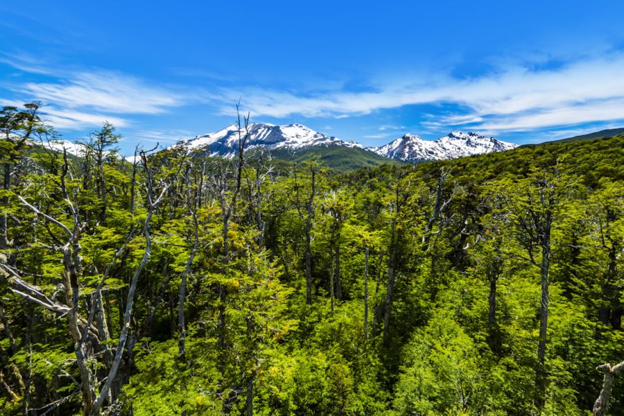 Venta Parcela Lago Verde - Aysén