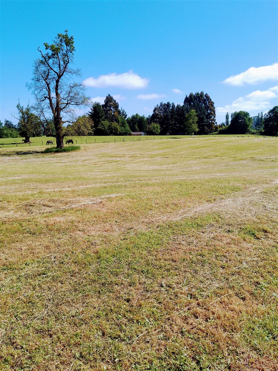 Venta Parcela Osorno - Los Lagos