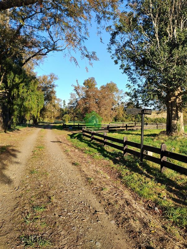 Venta Parcela Osorno - Los Lagos