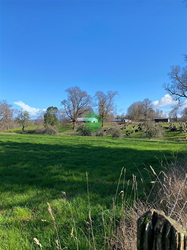 Venta Agrícola Río Negro - Los Lagos