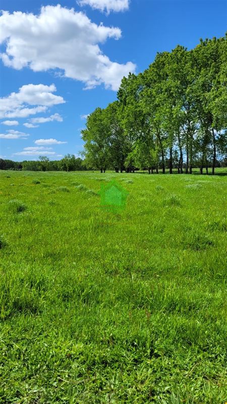 Venta Parcela Osorno - Los Lagos