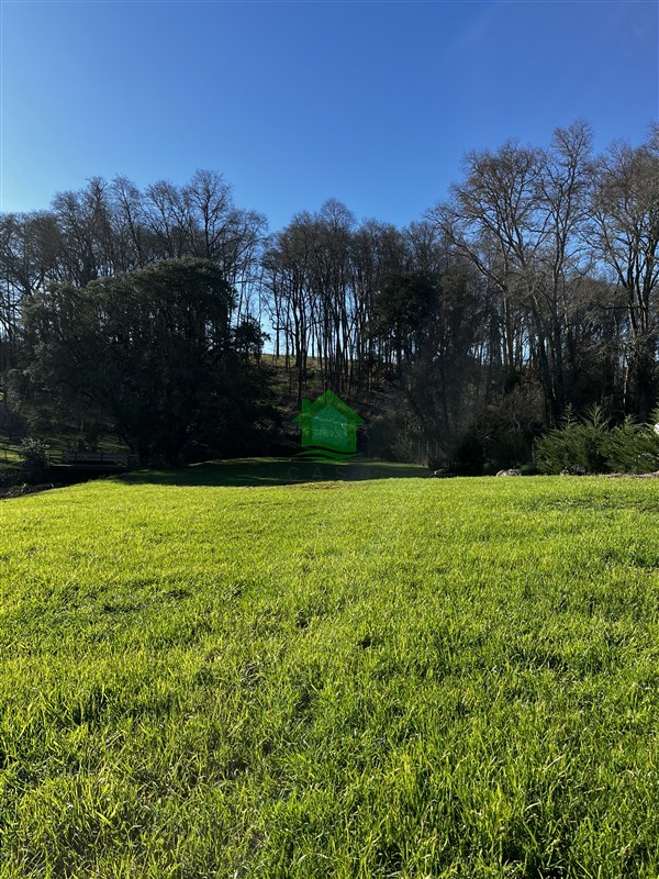Venta Parcela Osorno - Los Lagos