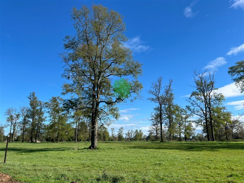 Venta Parcela Osorno - Los Lagos