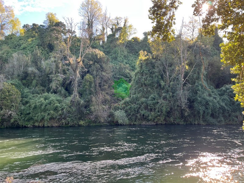 Venta Parcela Osorno - Los Lagos