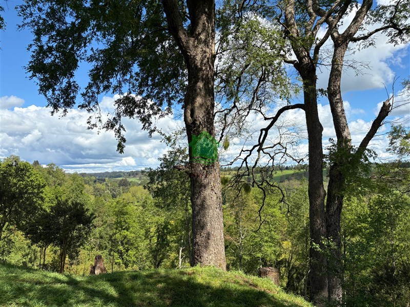 Venta Parcela Osorno - Los Lagos