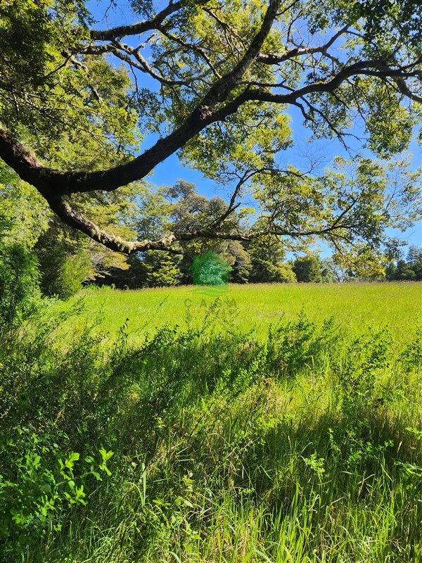 Venta Parcela Valdivia - Los Ríos