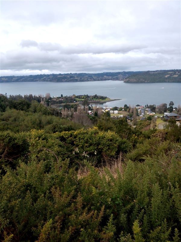 Venta Parcela Castro - Los Lagos