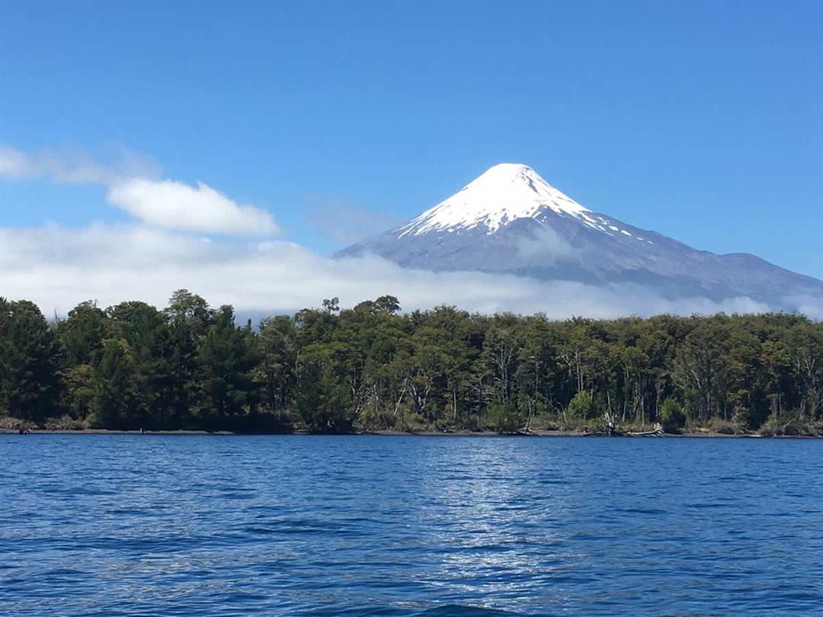 Venta Parcela Puerto Octay - Los Lagos