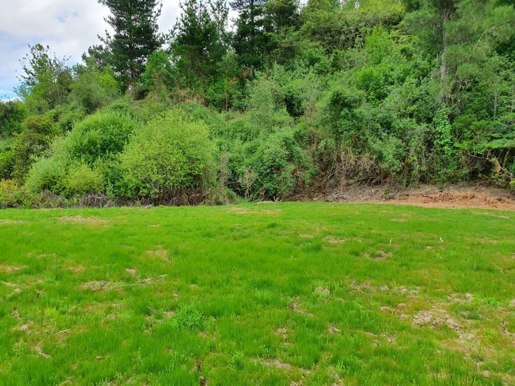 Venta Parcela Valdivia - Los Ríos