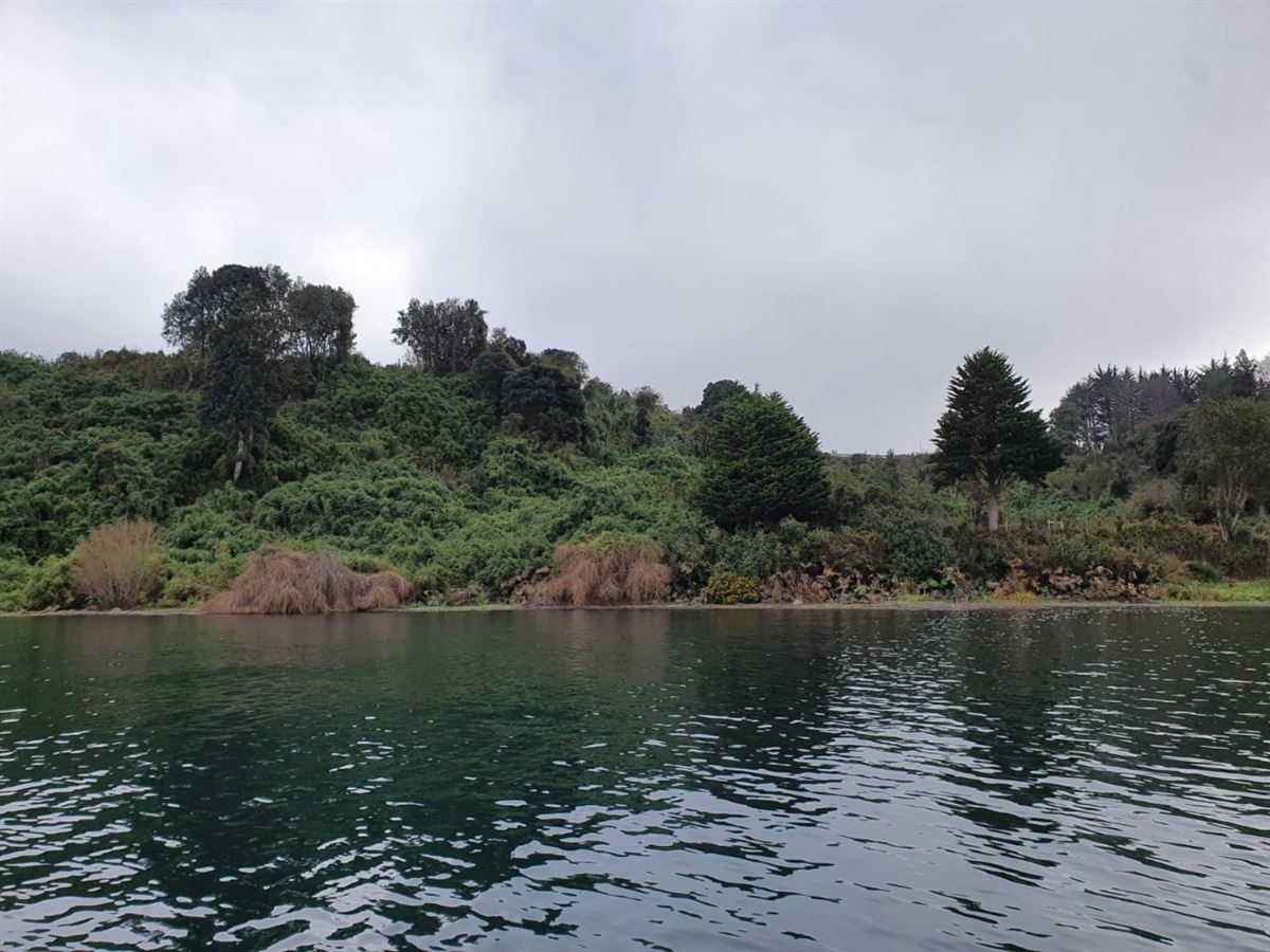 Venta Parcela Frutillar - Los Lagos