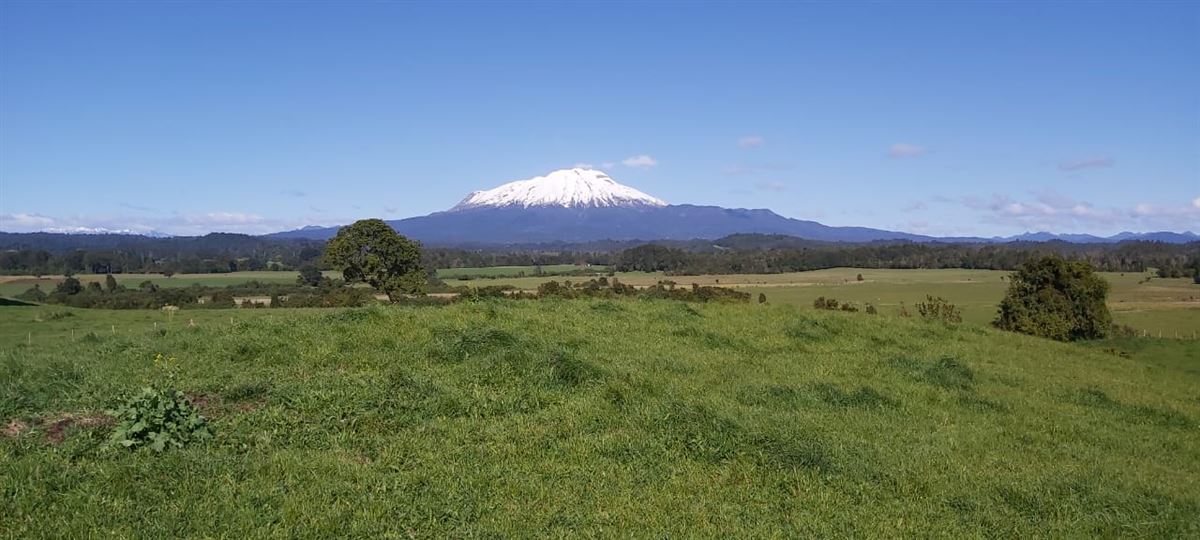Venta Agrícola Puerto Varas - Los Lagos