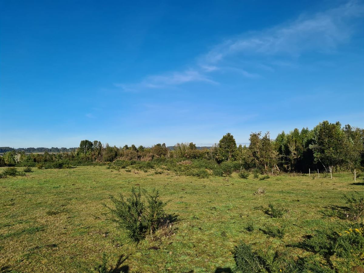 Venta Parcela Maullín - Los Lagos