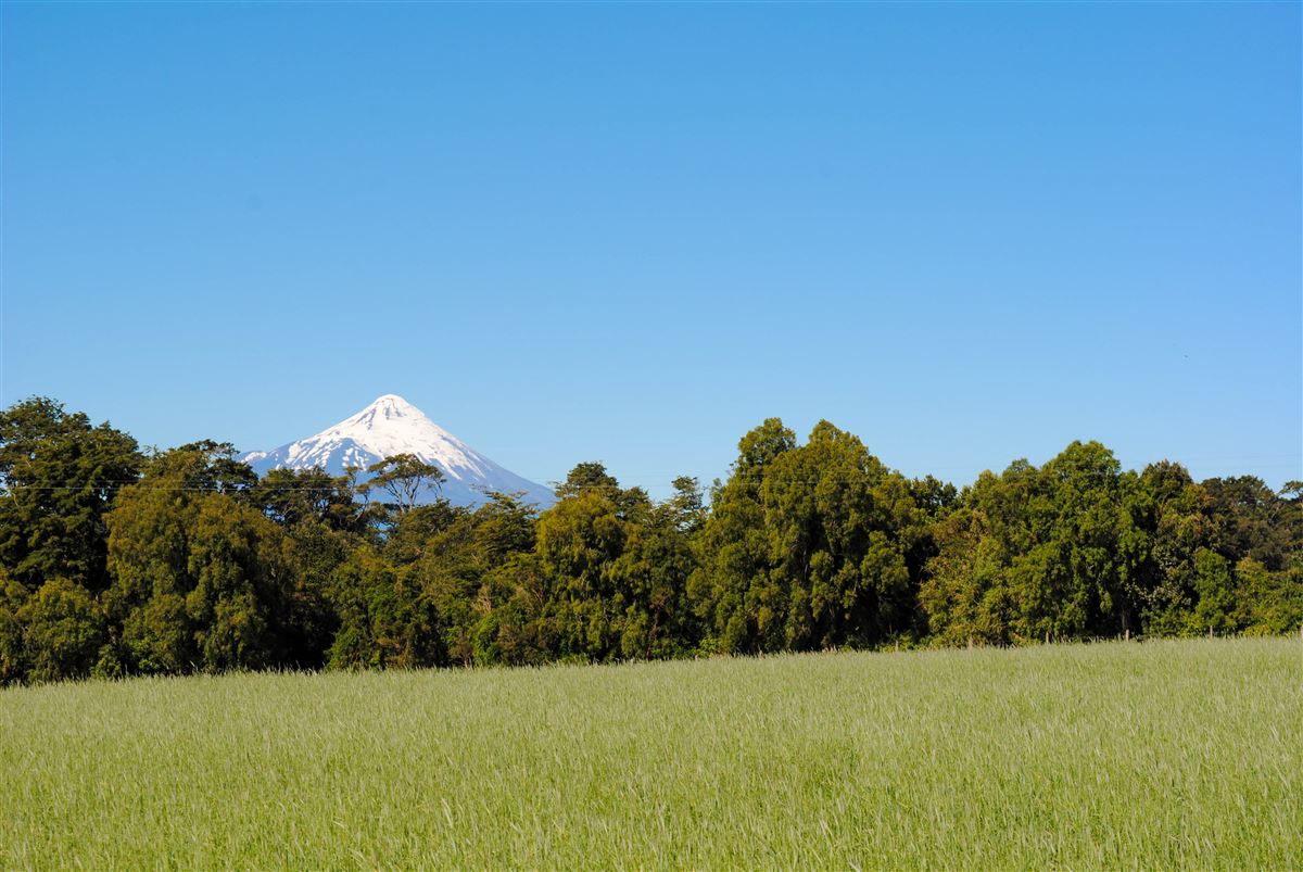 Venta Parcela Puerto Varas - Los Lagos