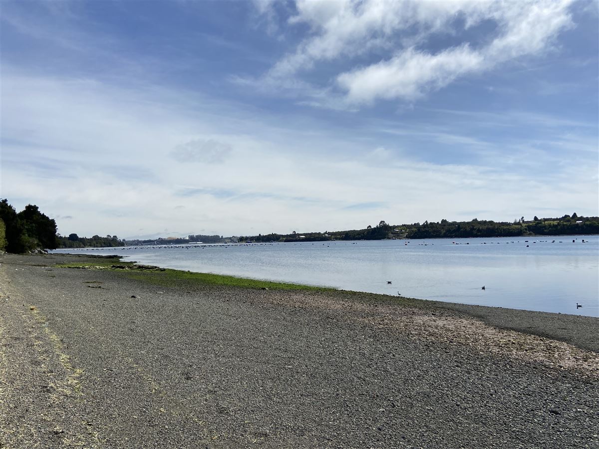 Venta Parcela Calbuco - Los Lagos