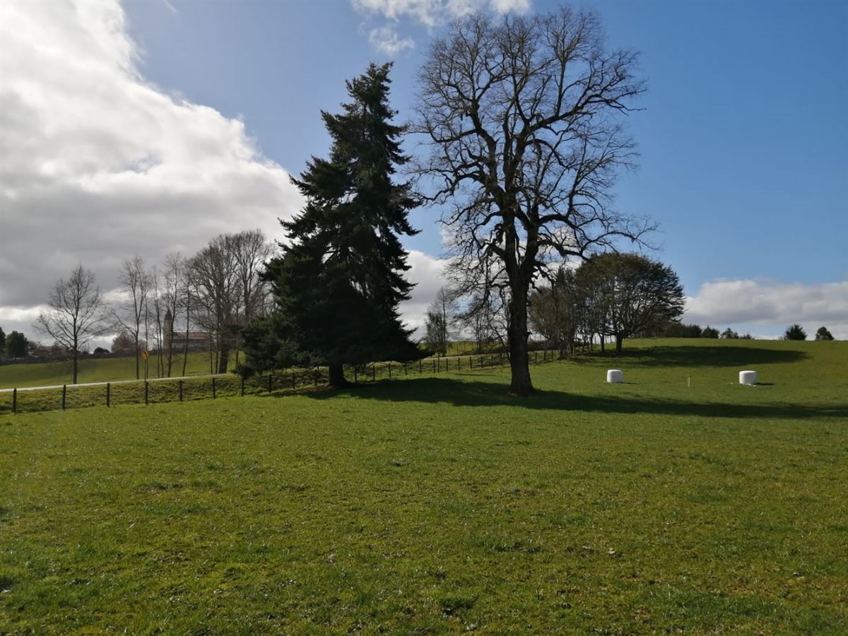 Venta Parcela Puerto Varas - Los Lagos