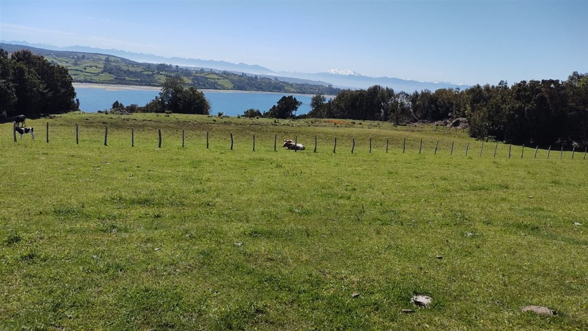 Venta Parcela Calbuco - Los Lagos