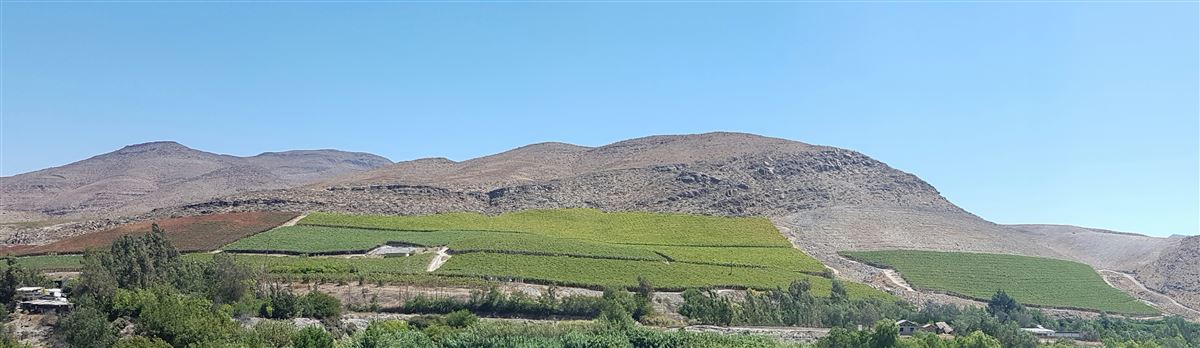 Venta Agrícola Vallenar - Atacama