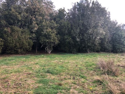 Venta Parcela Puerto Montt - Los Lagos