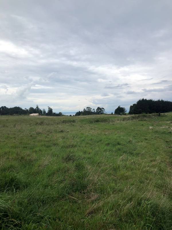 Venta Parcela Frutillar - Los Lagos