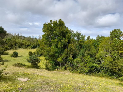 Venta Parcela Maullín - Los Lagos