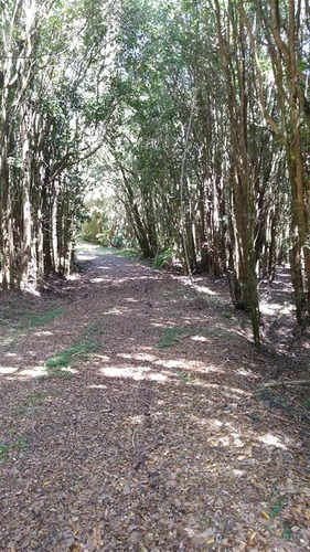 Venta Parcela Puerto Montt - Los Lagos