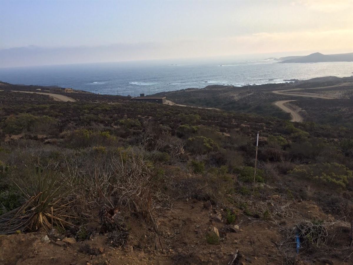 Venta Parcela Los Vilos - Coquimbo